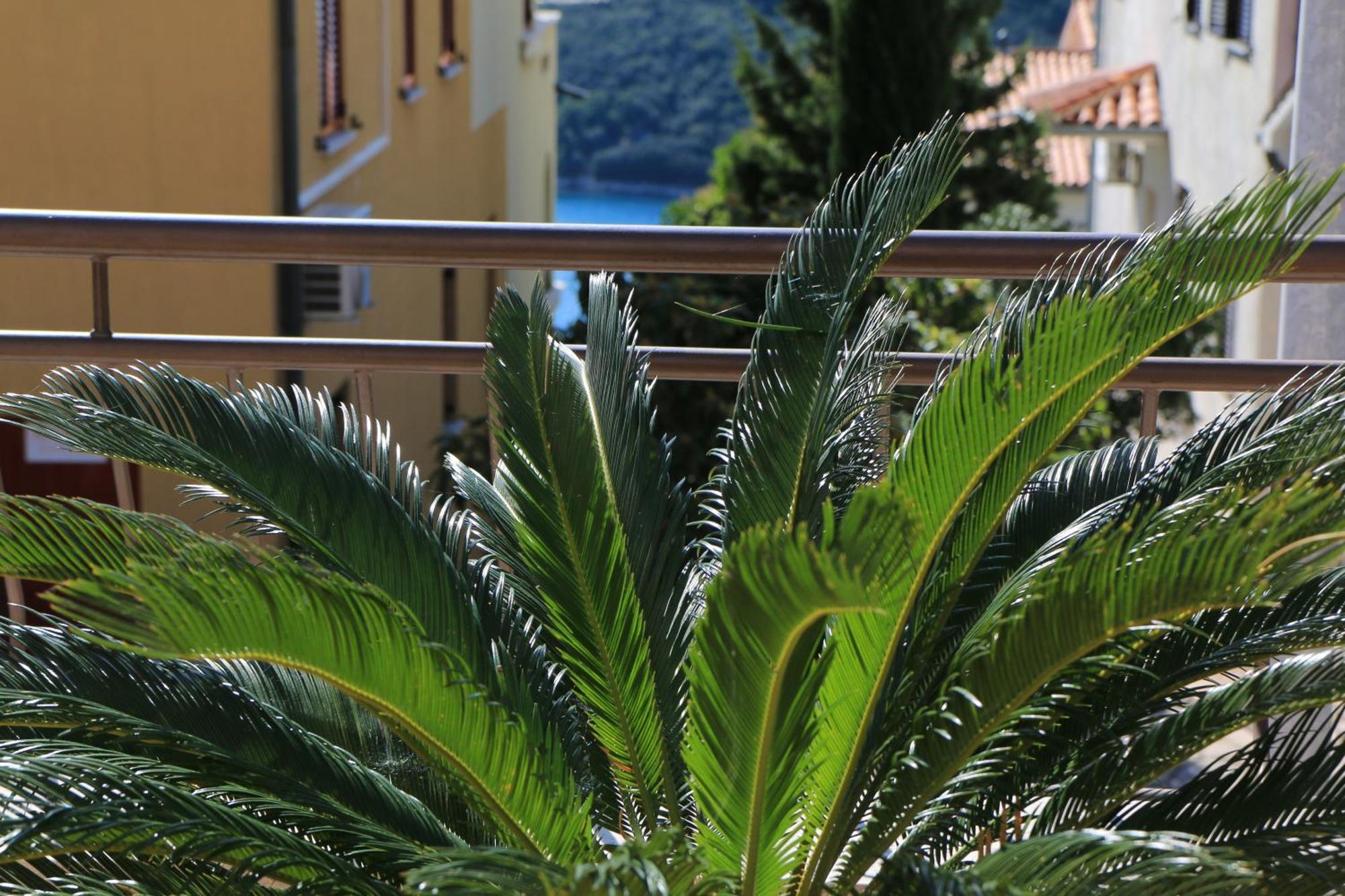 Apartments With A Parking Space Rabac, Labin - 7429 Εξωτερικό φωτογραφία